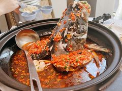 -院里寻菜·精致庭院菜(观沙岭店)