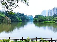 -金山公园