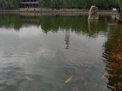 -金城公园