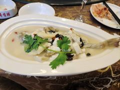 河豚豆腐汤-盛府渔庄