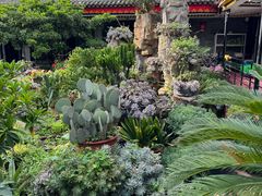 -山菌美食苑(振兴路店)