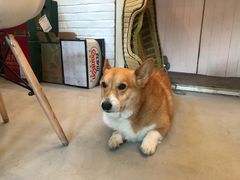 -小时光咖啡馆(北锣鼓巷店)