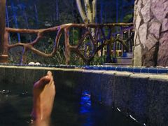 -宜春明月山维景国际温泉度假酒店