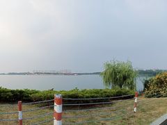 -荷塘月色湿地公园·向阳花洲