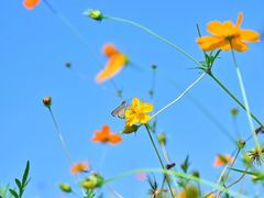 -洋湖国家湿地公园