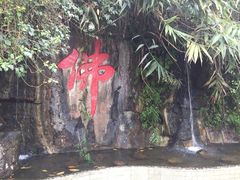 iphone_upload_pic-鼎湖山风景区