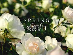 -香蜜公园