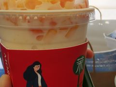 木瓜奶昔-茉酸奶(松江开元地中海店)