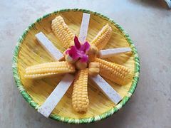 -墨脱石锅椰子鸡•香草鸭•东山羊(大东海店)