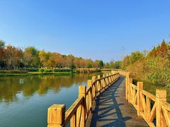 -溱湖国家湿地公园