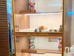 -翊宠yipet猫狗购宠庄园犬舍•猫舍