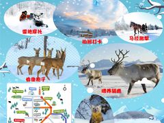 -震海贝烤贝·民俗特色店(延吉总店)