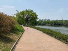-东莞植物园
