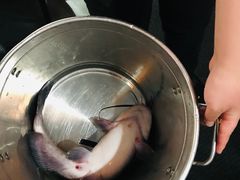 -雲蜀龙阁·金牌水煮鱼(方庄店)