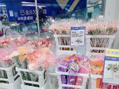 -盒马X会员店(上海森兰商都店)