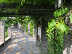 -龙寺生态园