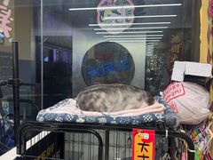 -谜盒子奇幻密室(南屏店)