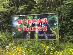 -青龙山国家森林公园