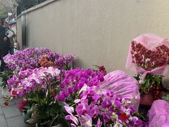 -溪岸路花鸟市场