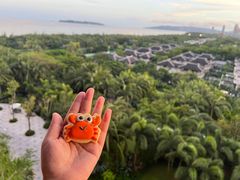 -味餐厅·海鲜·火锅·自助餐
