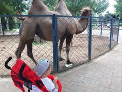 -长白岛森林公园