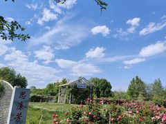 -太阳宫公园