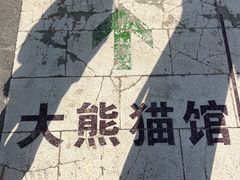 -栾川竹海野生动物园