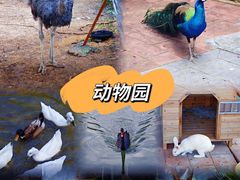 -厦门悦华酒店