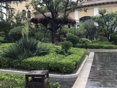 -青岛香根温泉酒店