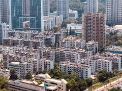 -板樟山森林公园
