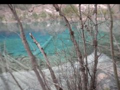 -九寨沟-树正沟