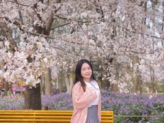 -东湖磨山景区樱花园-停车场