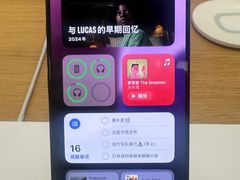 -Apple零售店(深圳益田假日广场店)