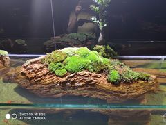 -泰谷酒店·太古码头闽菜自助餐厅