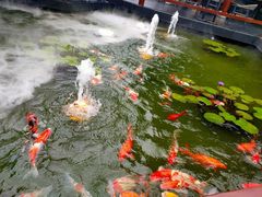 -濮园 · 四合院餐厅
