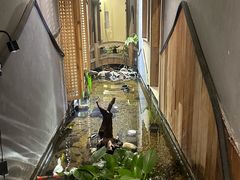 -邈墨茶馆(凤起路店)