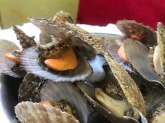 -宾朋海鲜特色美食餐厅·纯手工鲅鱼水饺(兴海路店)