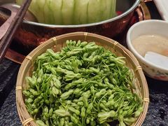 -得意咚瓜·顺德鱼生·冬瓜盅火锅