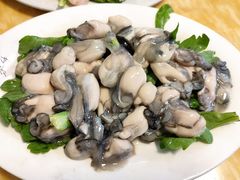 -金砂阿洲鱼册店