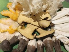 -钢管厂五区小郡肝串串香火锅(梅川路店)