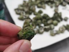 -宾朋海鲜饭庄(兴海路店)