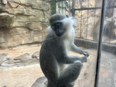 -泉州海丝野生动物世界