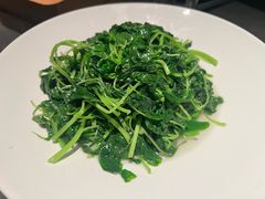 -润苑·悦椿轩(徐汇万科中心一期店)