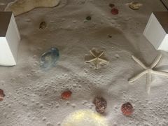 -青岛贝壳博物馆