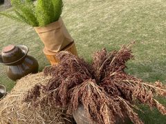 -中国天府农业博览园