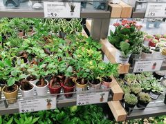 -鹿岛生活(熙地港店)