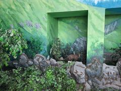 -吉林省自然博物馆