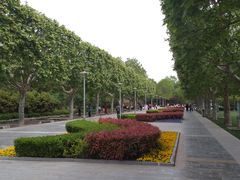 -郑州植物园