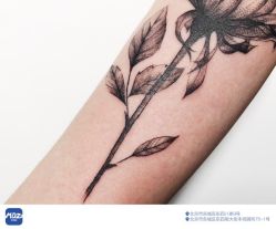 -MDZ STORE·TATTOO·耳饰