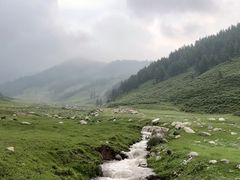 -芦芽山旅游度假区